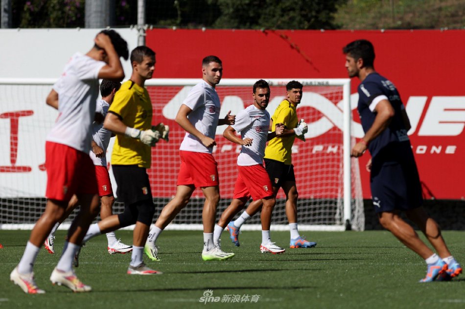 活性和应变 活性和应变